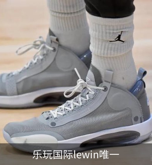 乐玩国际lewin唯一概况